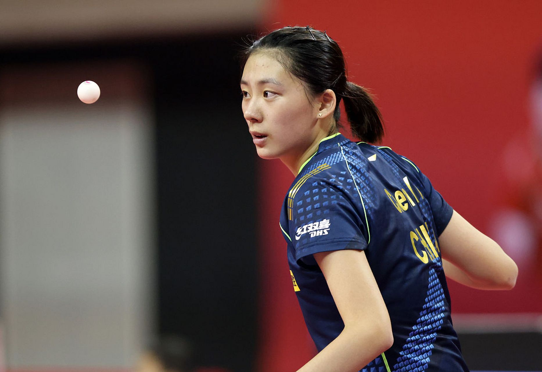 宝贵的借鉴 宝贵的借鉴